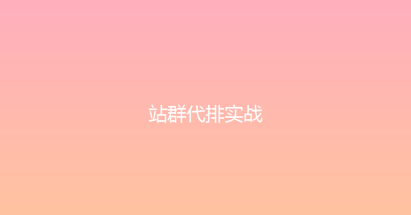 站群代排实战 封面图